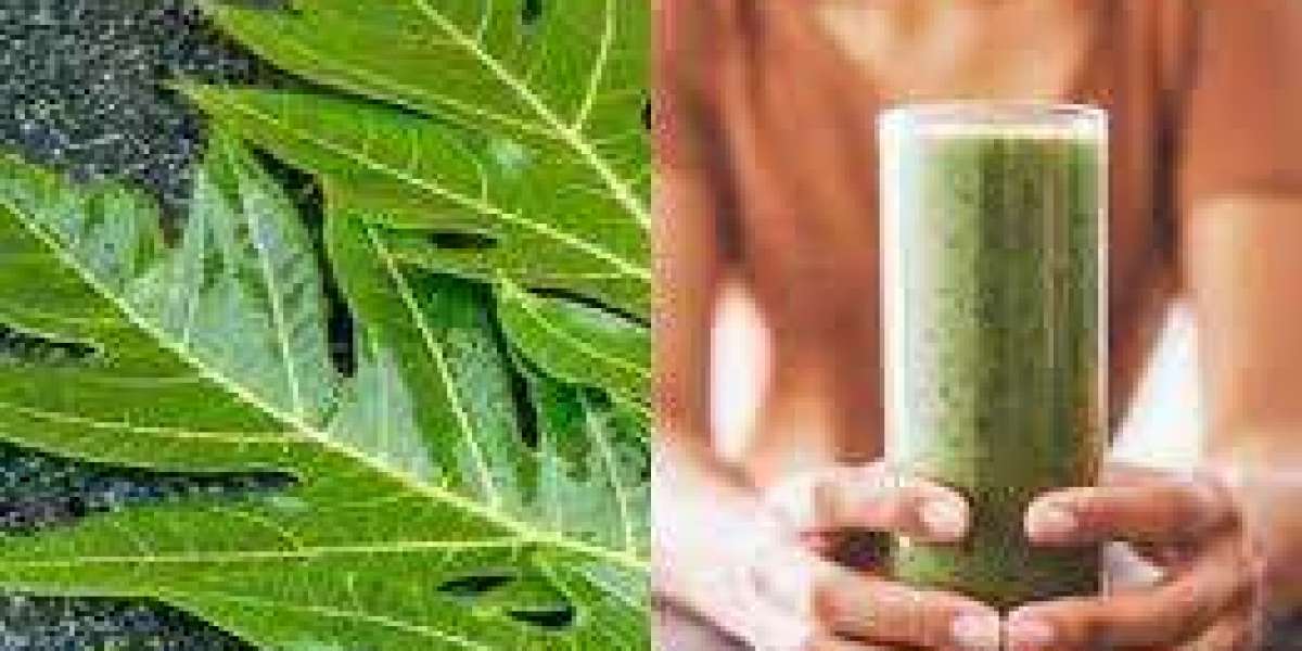 Unveiling the Health Benefits of Fresh Pawpaw Leaves Tea