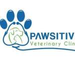 pawsitive vetrinary clinic Profile Picture