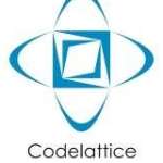 code lattice profile picture