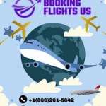 booking flightus profile picture