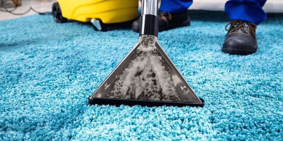 Professional Carpet Cleaning: The Best Way to Keep Carpets Fresh