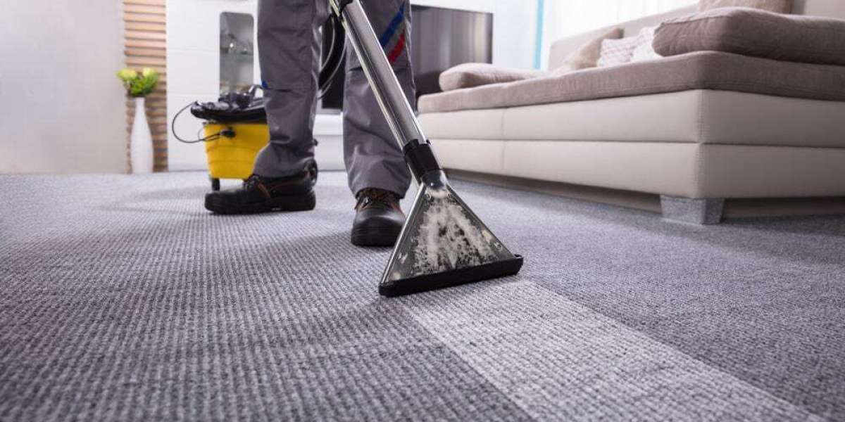 Professional Carpet Cleaning: Keeping Your Carpets in Top Shape