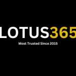 LOtuss366 365 profile picture