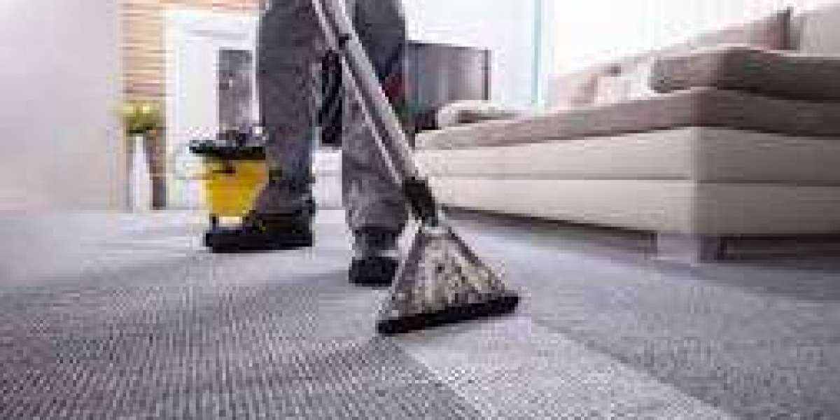 The Essential Role of Carpet Cleaning in Enhancing Home Wellness