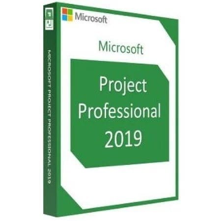 Buy Project 2019 Professional 1Pc Key - keys-shop.in