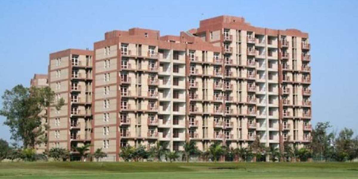 Why Delhi Flats Are the Best Investment in 2024