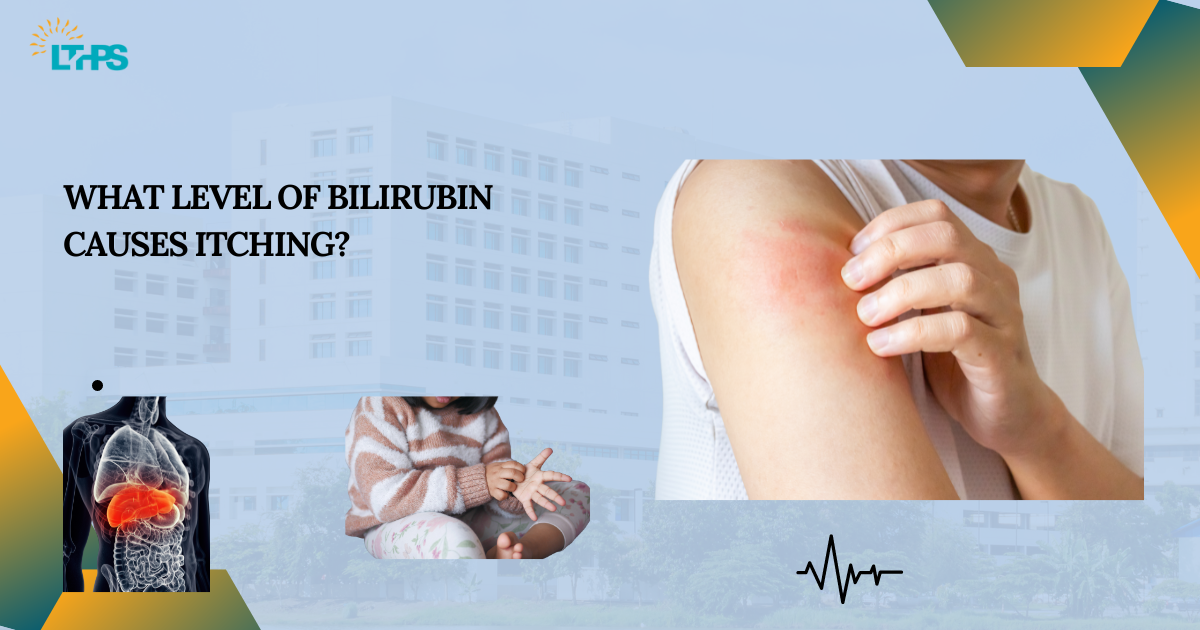 What Level of Bilirubin Causes Itching? | by Transplantationliver | Oct, 2024 | Medium