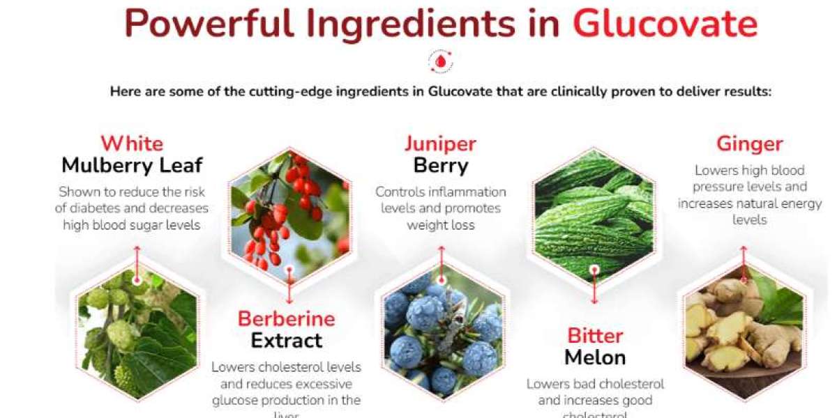 Glucovate — Understanding Glucovate: What It Is and How It Can Benefit Your Health