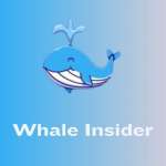 Whale insider Profile Picture