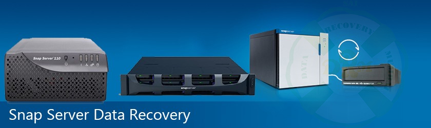 Best Snap Server Data Recovery Services in Mumbai