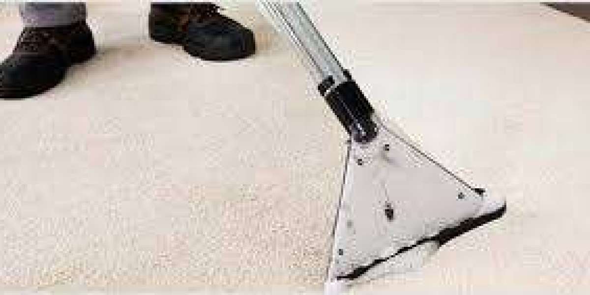 Professional Carpet Cleaning: Protecting the Health of Every Home