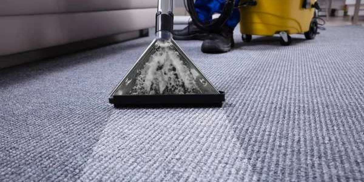 Revitalize Your Home’s Comfort with Expert Carpet Cleaning