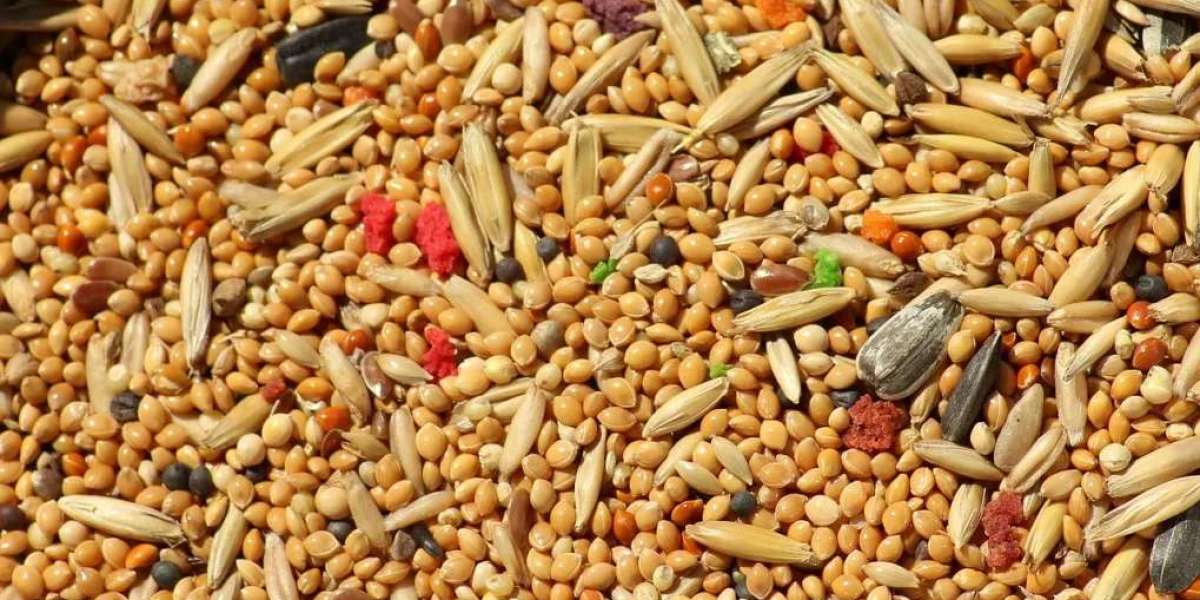 Understanding Millets Side Effects: What You Need to Know for Better Health