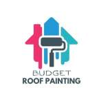 Budget Roof Painting Profile Picture