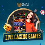 Playinexch Casino Profile Picture