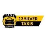 13silver taxy Profile Picture